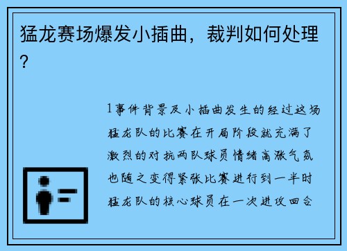 猛龙赛场爆发小插曲，裁判如何处理？