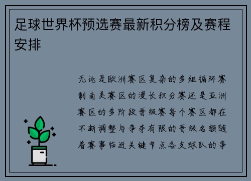 足球世界杯预选赛最新积分榜及赛程安排